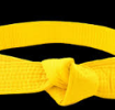 CAMMS Welcomes Lean Sigma Yellow Belts
